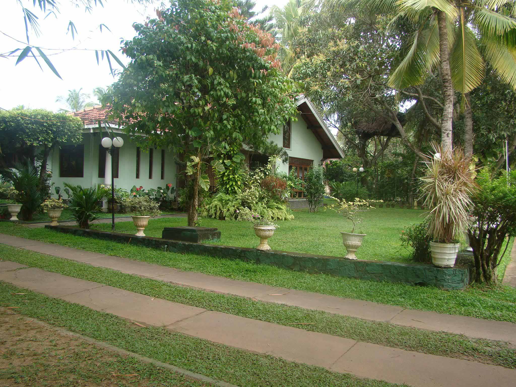 Home Garden In Sri Lanka / Garden Design Front Of House Sri Lanka
